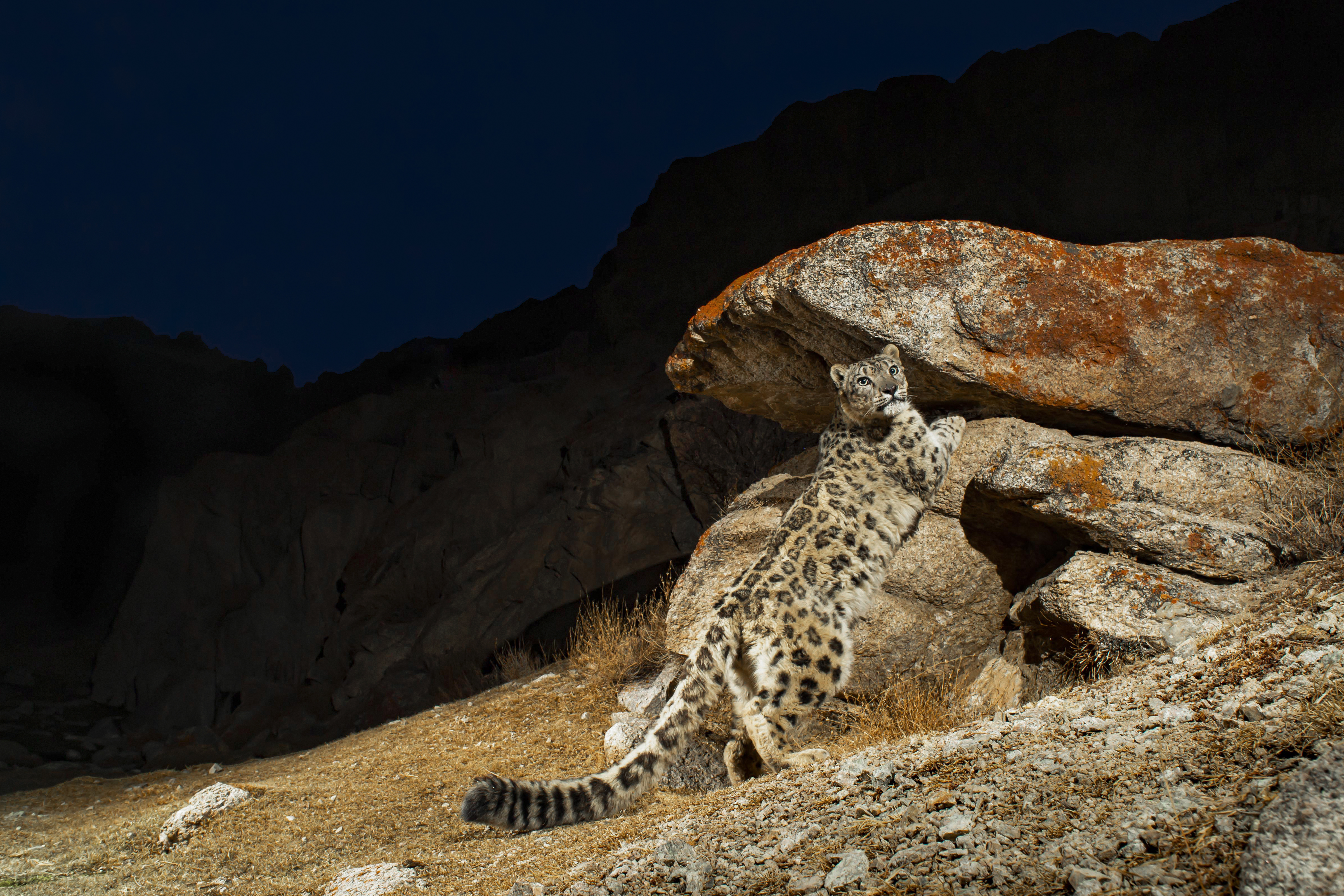 National Geographic Live